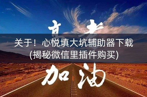 关于！心悦填大坑辅助器下载(揭秘微信里插件购买)