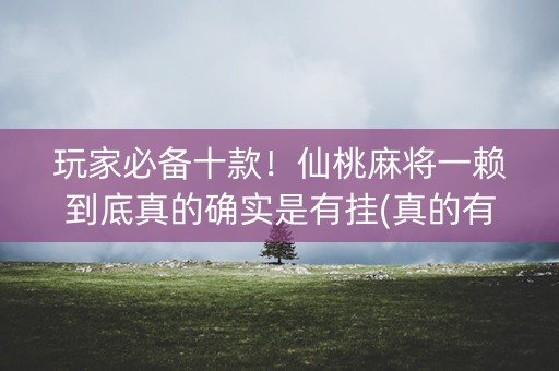 玩家必备十款！仙桃麻将一赖到底真的确实是有挂(真的有挂)