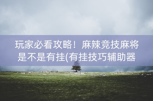 玩家必看攻略！麻辣竞技麻将是不是有挂(有挂技巧辅助器)