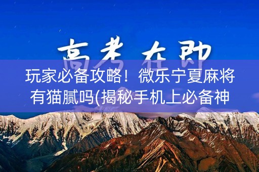 玩家必备攻略！微乐宁夏麻将有猫腻吗(揭秘手机上必备神器)