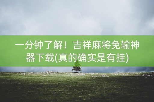 一分钟了解！吉祥麻将免输神器下载(真的确实是有挂)