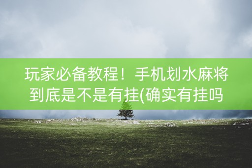 玩家必备教程！手机划水麻将到底是不是有挂(确实有挂吗)