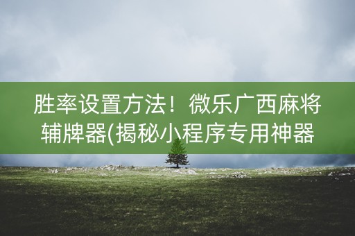 胜率设置方法！微乐广西麻将辅牌器(揭秘小程序专用神器下载)