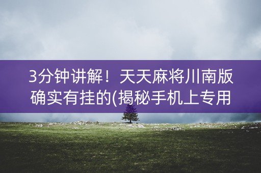3分钟讲解！天天麻将川南版确实有挂的(揭秘手机上专用神器下载)