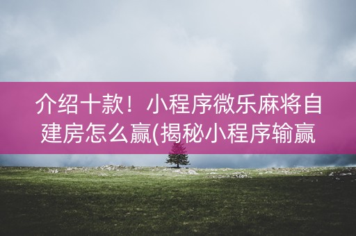 介绍十款！小程序微乐麻将自建房怎么赢(揭秘小程序输赢技巧)