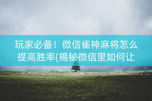 玩家必备！微信雀神麻将怎么提高胜率(揭秘微信里如何让牌变好)