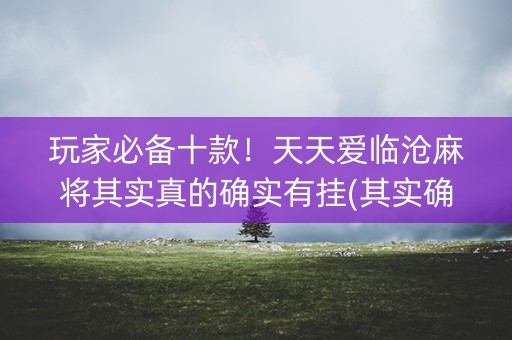 玩家必备十款！天天爱临沧麻将其实真的确实有挂(其实确实有挂)