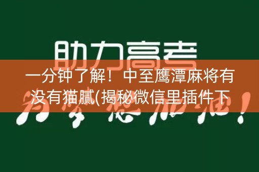 一分钟了解！中至鹰潭麻将有没有猫腻(揭秘微信里插件下载)