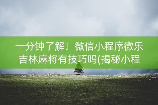 一分钟了解！微信小程序微乐吉林麻将有技巧吗(揭秘小程序输赢技巧)