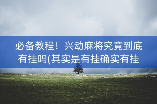 必备教程！兴动麻将究竟到底有挂吗(其实是有挂确实有挂)