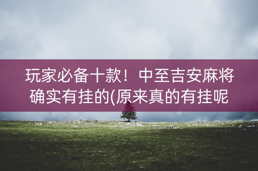 玩家必备十款！中至吉安麻将确实有挂的(原来真的有挂呢)