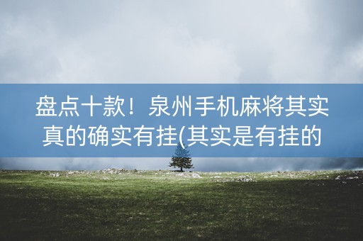 盘点十款！泉州手机麻将其实真的确实有挂(其实是有挂的)