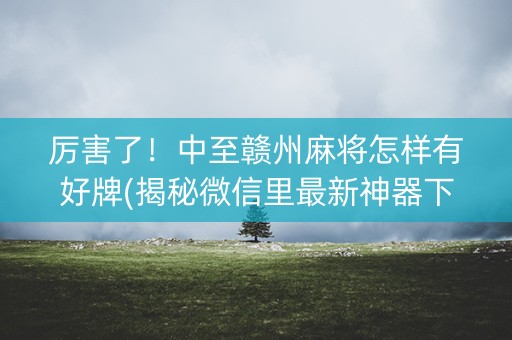 厉害了！中至赣州麻将怎样有好牌(揭秘微信里最新神器下载)