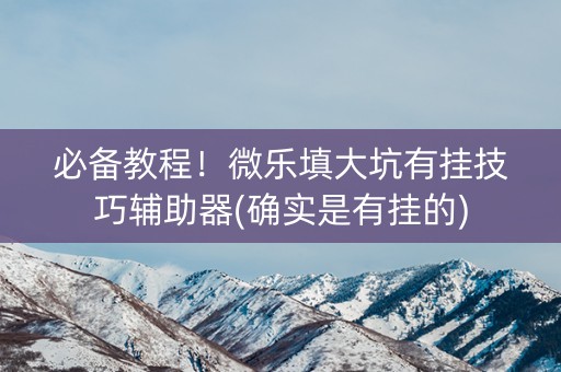 必备教程！微乐填大坑有挂技巧辅助器(确实是有挂的)