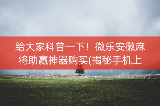 给大家科普一下！微乐安徽麻将助赢神器购买(揭秘手机上赢的秘诀)
