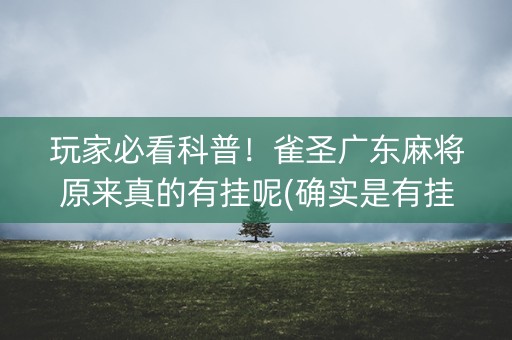 玩家必看科普！雀圣广东麻将原来真的有挂呢(确实是有挂)