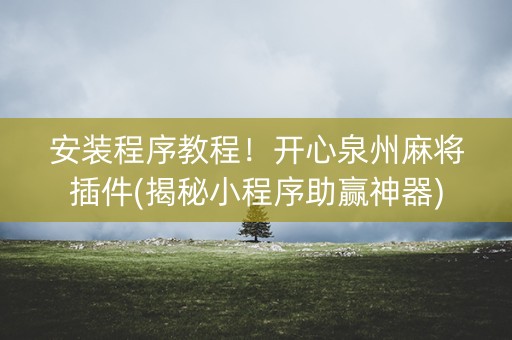 安装程序教程！开心泉州麻将插件(揭秘小程序助赢神器)