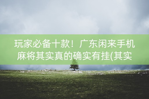 玩家必备十款！广东闲来手机麻将其实真的确实有挂(其实确实有挂)