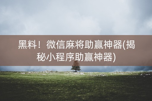 黑料！微信麻将助赢神器(揭秘小程序助赢神器)