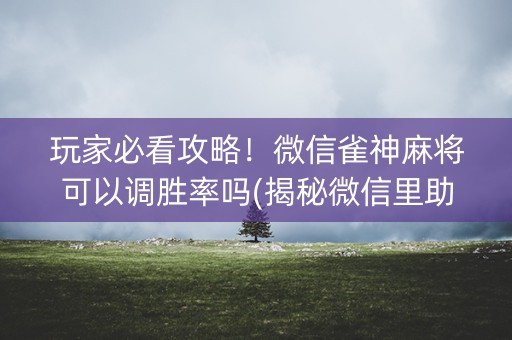 玩家必看攻略！微信雀神麻将可以调胜率吗(揭秘微信里助赢软件)