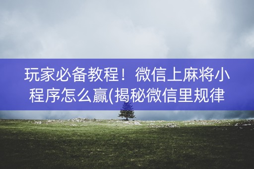 玩家必备教程！微信上麻将小程序怎么赢(揭秘微信里规律攻略)