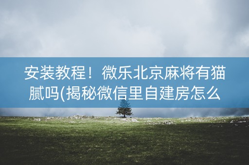 安装教程！微乐北京麻将有猫腻吗(揭秘微信里自建房怎么赢)