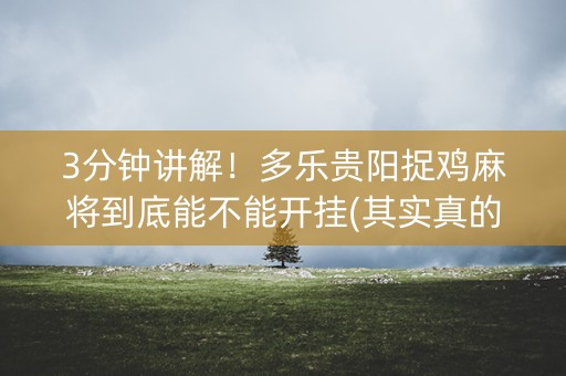 3分钟讲解！多乐贵阳捉鸡麻将到底能不能开挂(其实真的有挂)