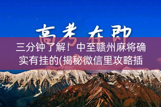 三分钟了解！中至赣州麻将确实有挂的(揭秘微信里攻略插件)