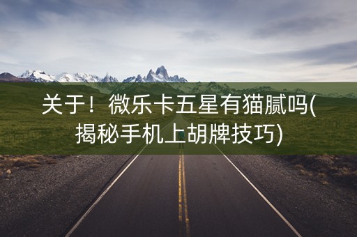 关于！微乐卡五星有猫腻吗(揭秘手机上胡牌技巧)