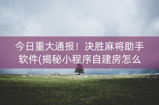 今日重大通报！决胜麻将助手软件(揭秘小程序自建房怎么赢)