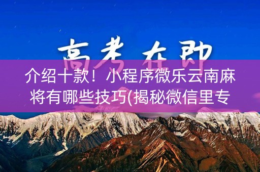 介绍十款！小程序微乐云南麻将有哪些技巧(揭秘微信里专用神器)