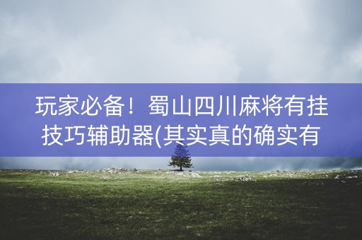 玩家必备！蜀山四川麻将有挂技巧辅助器(其实真的确实有挂)