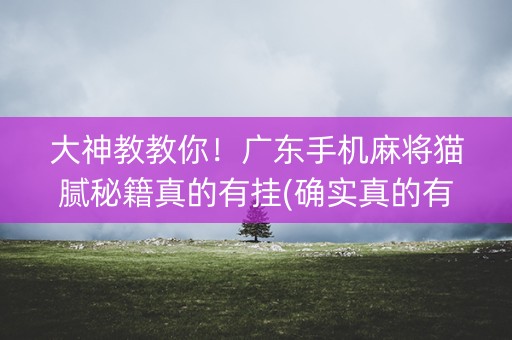 大神教教你！广东手机麻将猫腻秘籍真的有挂(确实真的有挂)