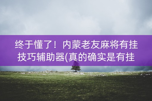 终于懂了！内蒙老友麻将有挂技巧辅助器(真的确实是有挂)