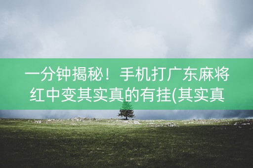 一分钟揭秘！手机打广东麻将红中变其实真的有挂(其实真的有挂)