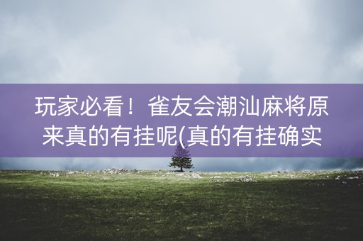 玩家必看！雀友会潮汕麻将原来真的有挂呢(真的有挂确实有挂)