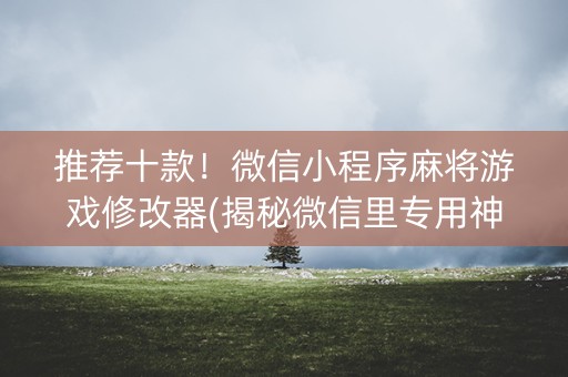 推荐十款！微信小程序麻将游戏修改器(揭秘微信里专用神器)