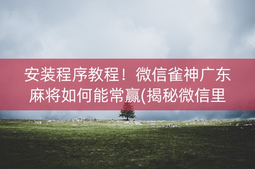 安装程序教程！微信雀神广东麻将如何能常赢(揭秘微信里提高胜率)