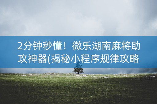 2分钟秒懂！微乐湖南麻将助攻神器(揭秘小程序规律攻略)
