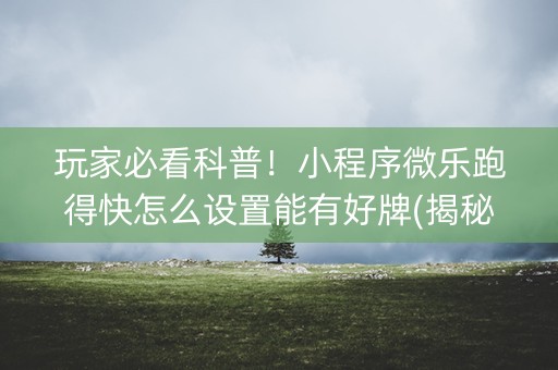 玩家必看科普！小程序微乐跑得快怎么设置能有好牌(揭秘小程序自建房怎么赢)