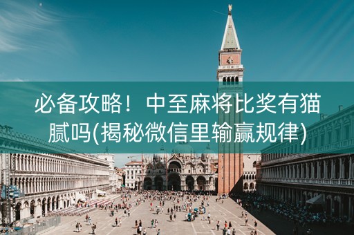 必备攻略！中至麻将比奖有猫腻吗(揭秘微信里输赢规律)