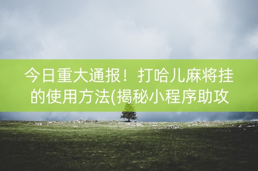 今日重大通报！打哈儿麻将挂的使用方法(揭秘小程序助攻神器)