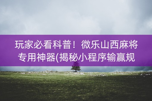 玩家必看科普！微乐山西麻将专用神器(揭秘小程序输赢规律)
