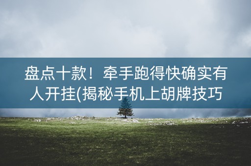 盘点十款！牵手跑得快确实有人开挂(揭秘手机上胡牌技巧)