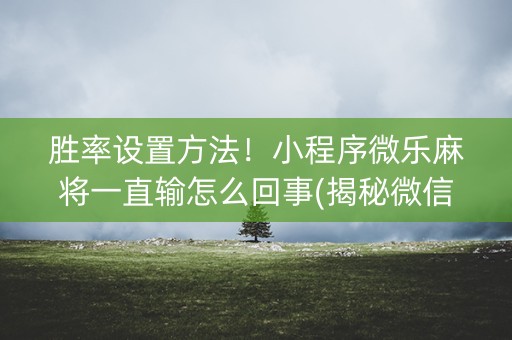 胜率设置方法！小程序微乐麻将一直输怎么回事(揭秘微信里最新神器下载)