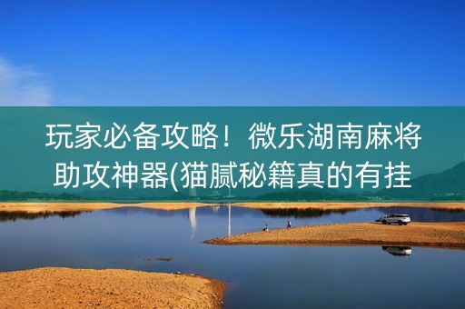 玩家必备攻略！微乐湖南麻将助攻神器(猫腻秘籍真的有挂)