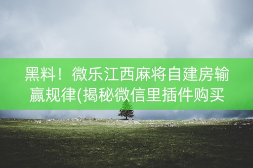 黑料！微乐江西麻将自建房输赢规律(揭秘微信里插件购买)