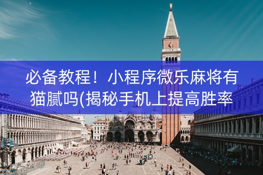 必备教程！小程序微乐麻将有猫腻吗(揭秘手机上提高胜率)