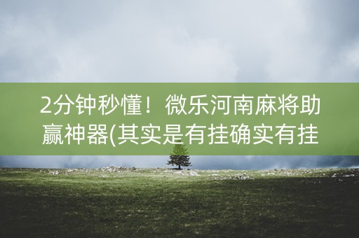 2分钟秒懂！微乐河南麻将助赢神器(其实是有挂确实有挂)