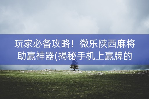 玩家必备攻略！微乐陕西麻将助赢神器(揭秘手机上赢牌的技巧)